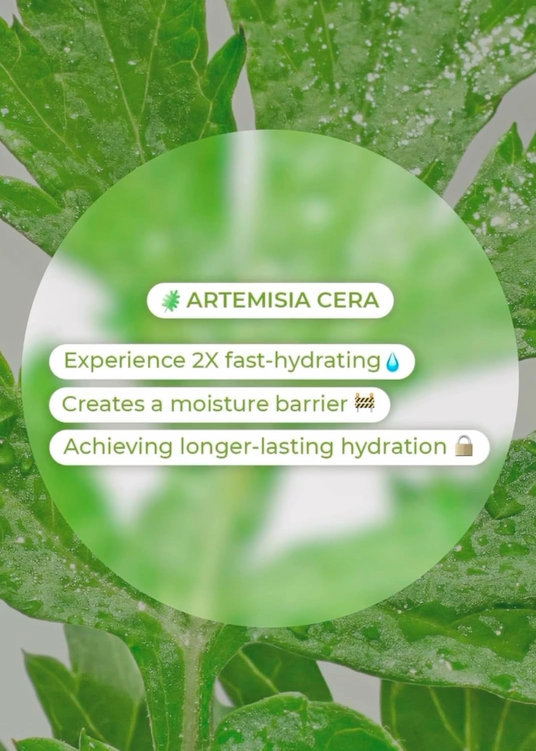 BRING GREEN Artemisia Cera Calming Moisture Toner Pad | Vegan Daily Skincare Routine for Redness Relief, Skin Balancing, Extra Calming, Exfoliating, Mask Sheet Type Toner Pads, 90 Count