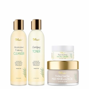 Deluvia Skin Care Set, Travel Size, Gentle Foaming Cleanser Face Wash, Clarifying Facial Toner, Face Moisturizer, Dead Sea Mud Mask, Skin Care Products Deluxe Facial Kit