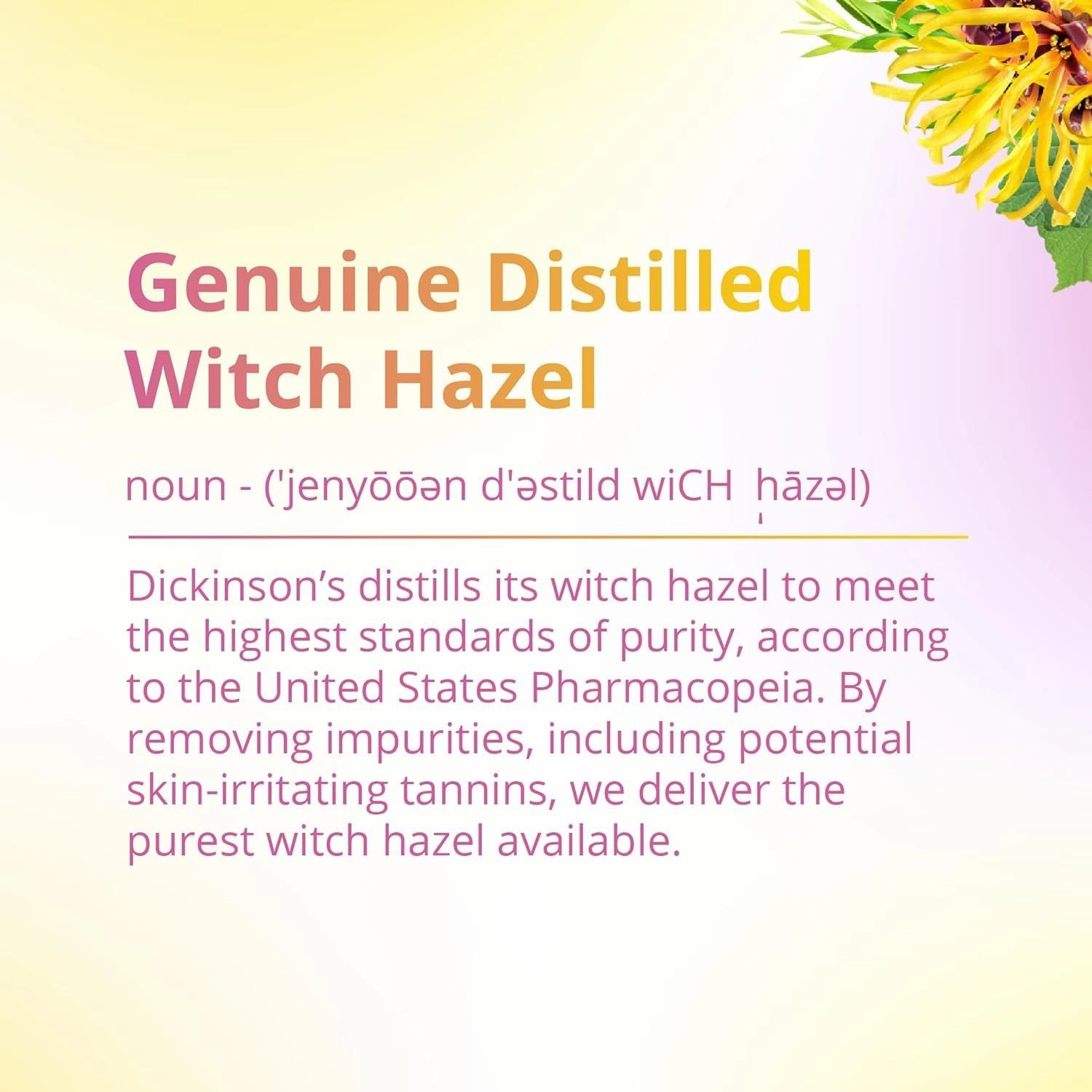 Enhanced Witch Hazel Hydrating Toner with Rosewater, Alcohol Free, 98% Natural Formula, 16 Fl Oz (Pack of 1)