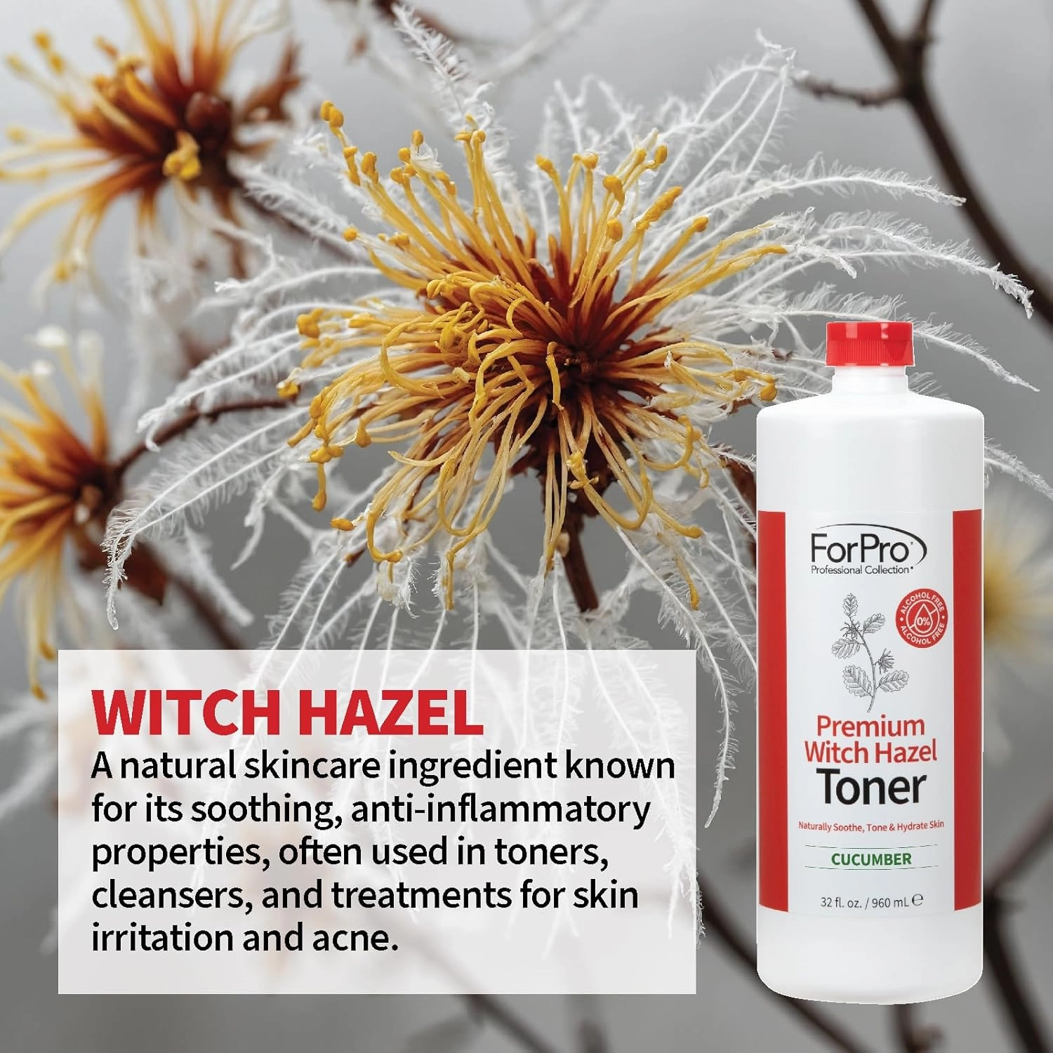 ForPro Premium Witch Hazel Toner, Alcohol-Free, Naturally Soothe, Tone & Hydrate Skin, Vegan, Cucumber Scent, 32 Fl Oz (Pack of 4)