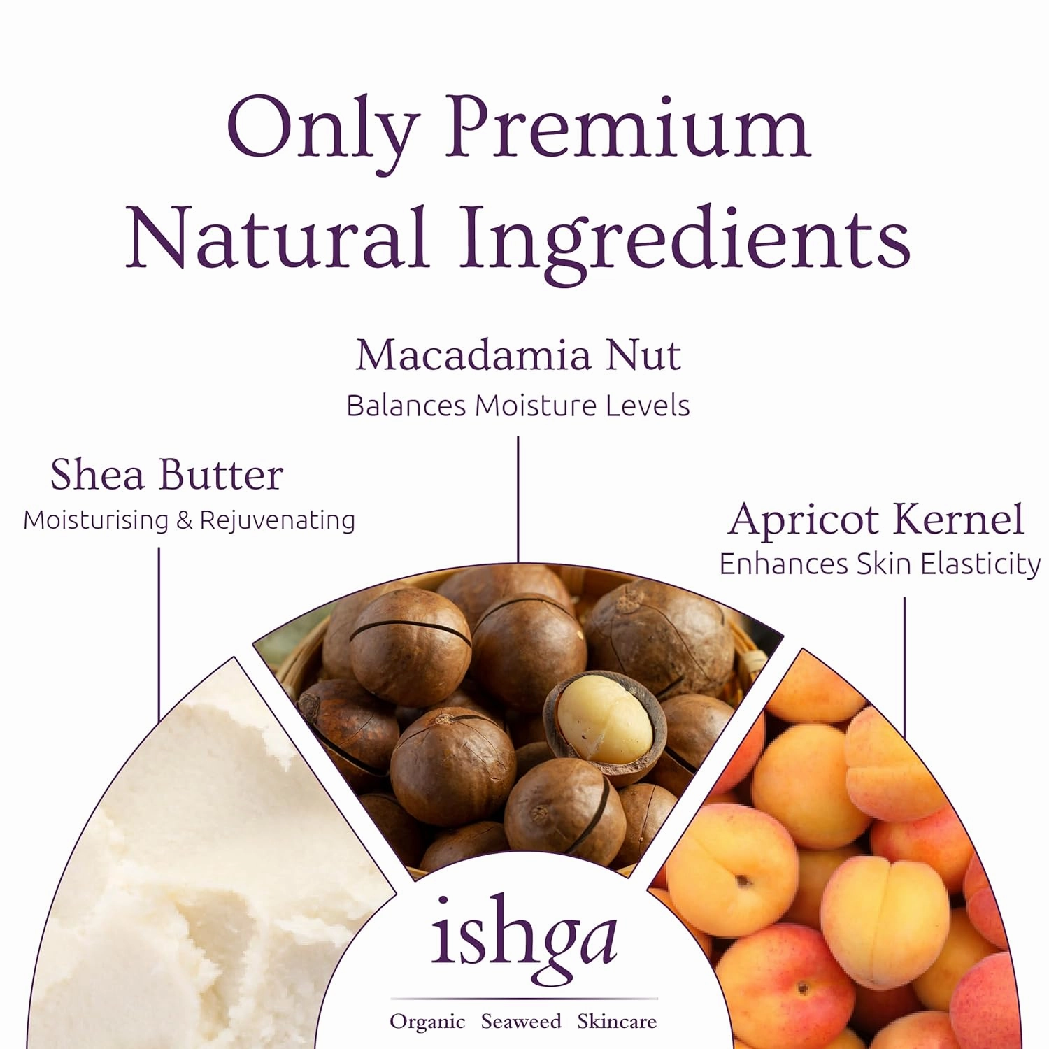 Ishga Anti-oxidant Marine Face Cream | Natural & Organic Skincare | Scottish Seaweed | Vegan, Cruelty-Free | Macadamia, Aloe Vera | 1.01fl oz (30ml)