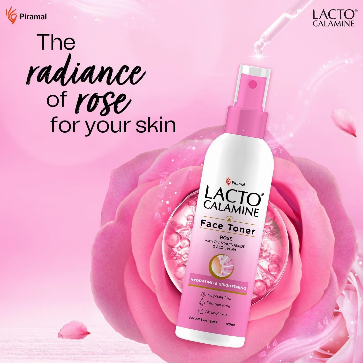 La.cto Calamine Rose Water Toner for Glowing Skin | 120ml | Gulab Jal Face Toner | Rosewater with Aloe Vera & 2% Niacinamide | No Sulphate, Alcohol, & Parabens (1)