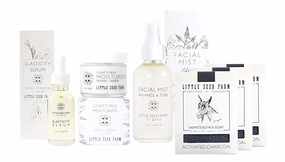 Little Seed Farm Activated Charcoal Bundle - Moisturizer   Soap   Elasticity Serum   Facial Mist Toner