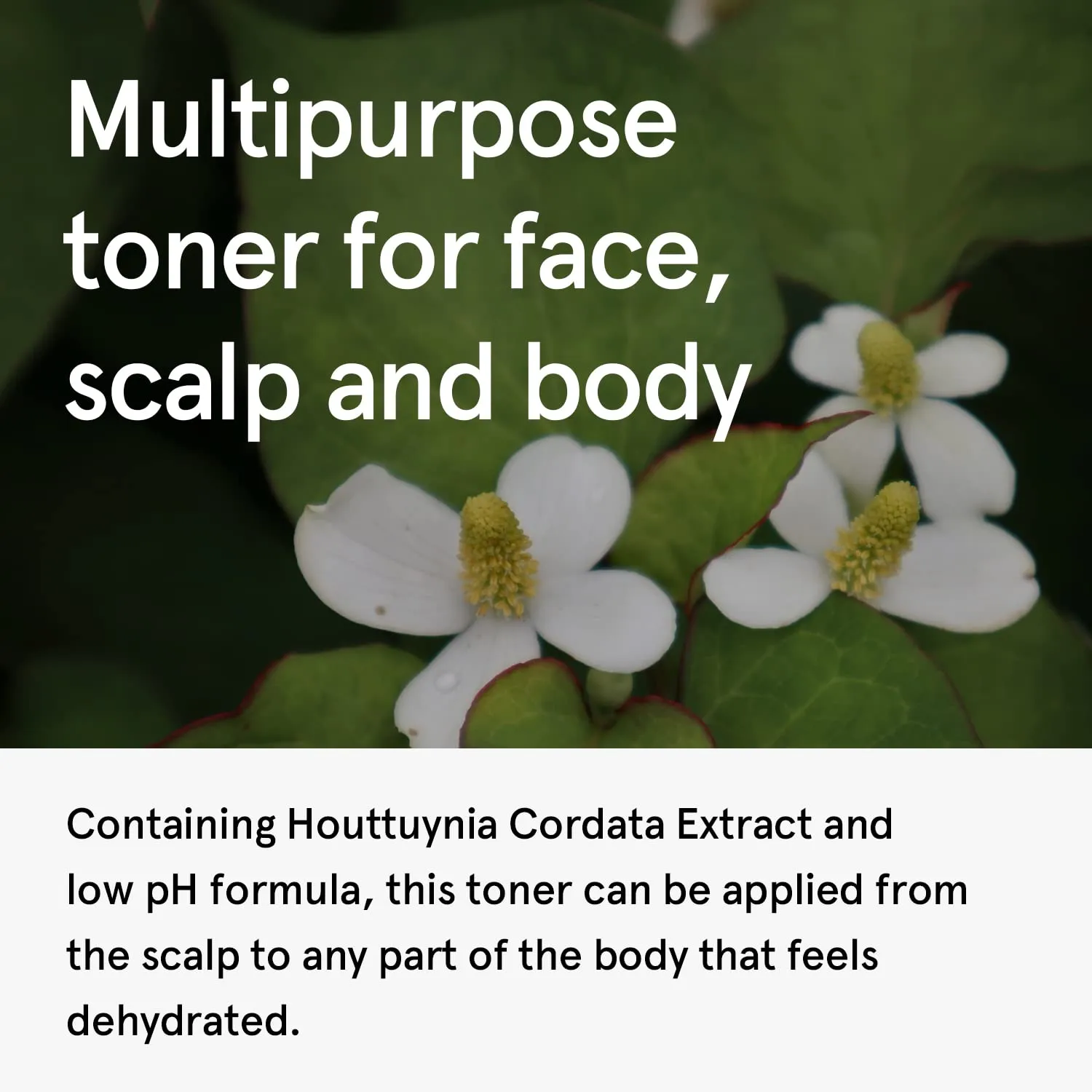 ONE THING Houttuynia Cordata Extract 10 fl oz | Vegan Soothing Calming Hydrating Facial Toner for Oily Acne Prone Skin | Korean Skin Care