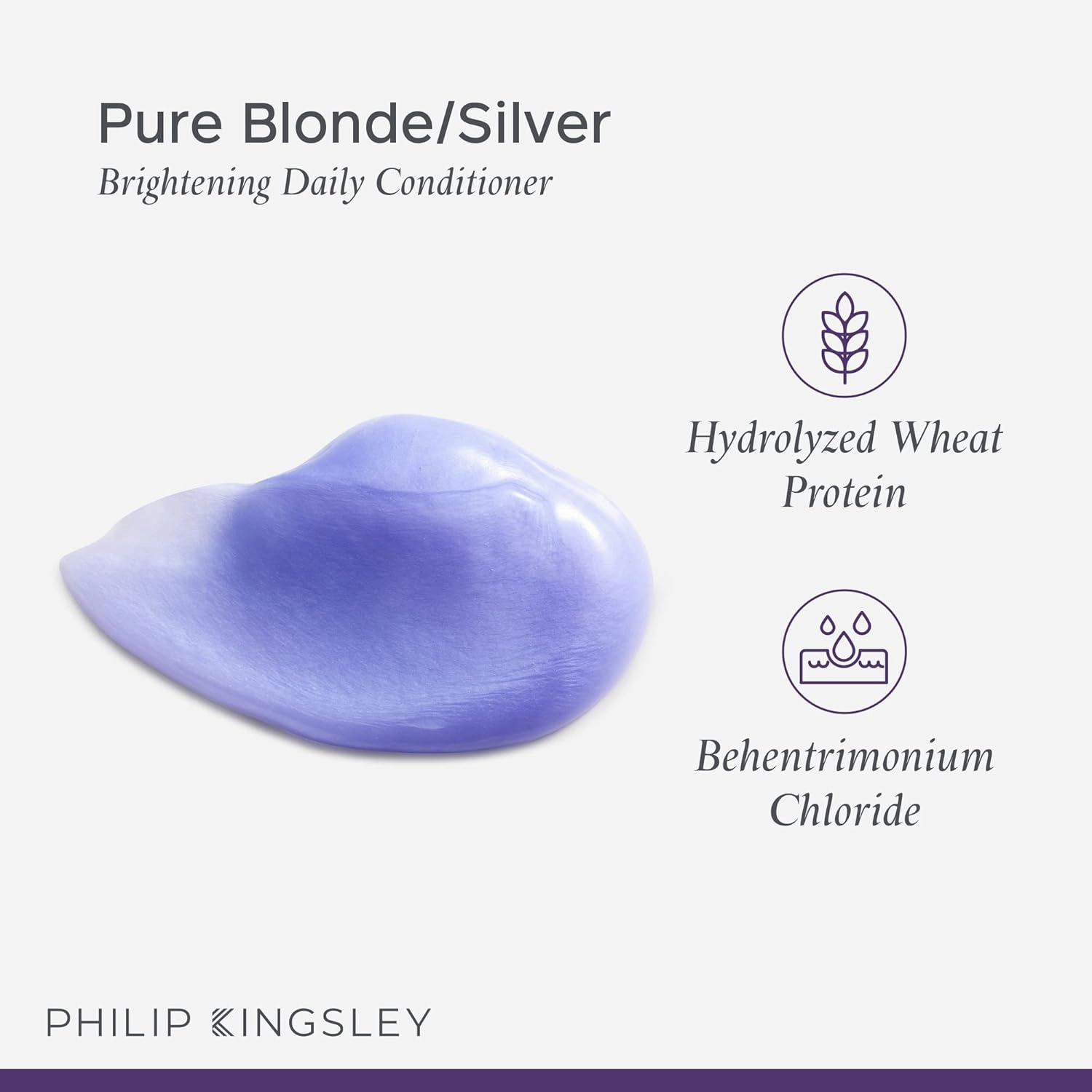 PHILIP KINGSLEY Pure Blonde/Silver Brightening Daily Purple Conditioner for Blonde Gray Brassy Colored Highlighted Bleached Hair Toner for Orange Brassiness and Yellow Tones, 33.8 oz