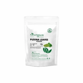 Pudina/Mint Leaves Powder (Mentha) 100gm - For Skin and Hair - Great Moisturiser, Cleanser, Toner and Astringent – Fight Hair Fall and Reduce Dandruff
