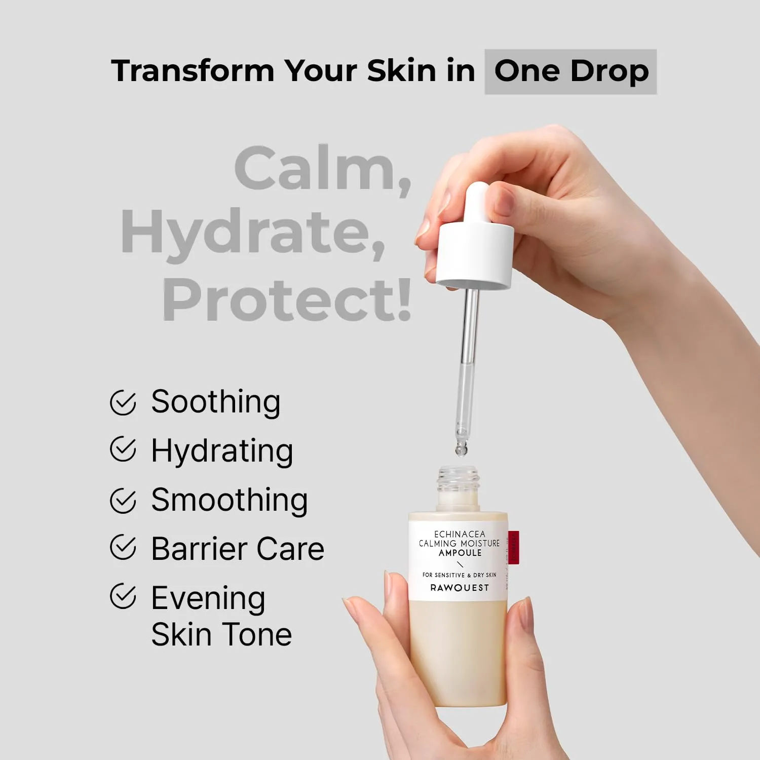 RAWQUEST- Echinacea Face Serum Ampoule for Instant Soothing, Skin Barrier Care, Hydration, Wrinkle improvement & Brightening w/Hyaluronic Acid & Niacinamide for Dry & Sensitive Skin 1.7 Fl oz / 50 ml