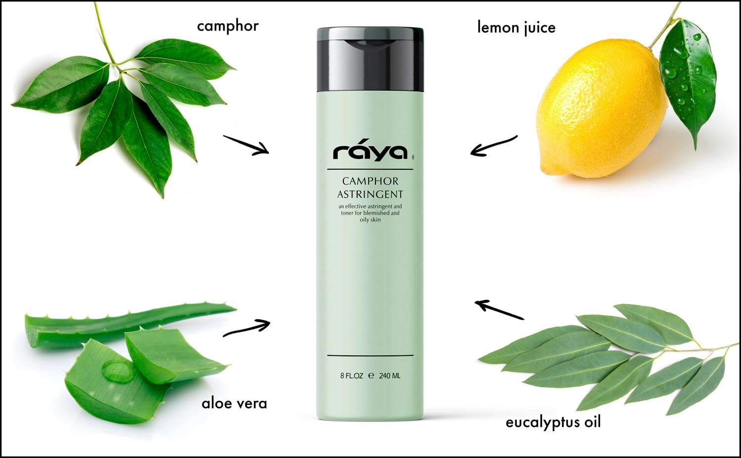 RAYA Camphor Astringent (204) - Facial Toner for Oily and Break-Out Skin, Dries Up Blemishes and Controls Excessive Oiliness, Made with Camphor and Eucalyptus, Skin Essence for Acne Prone Skin, 8 oz