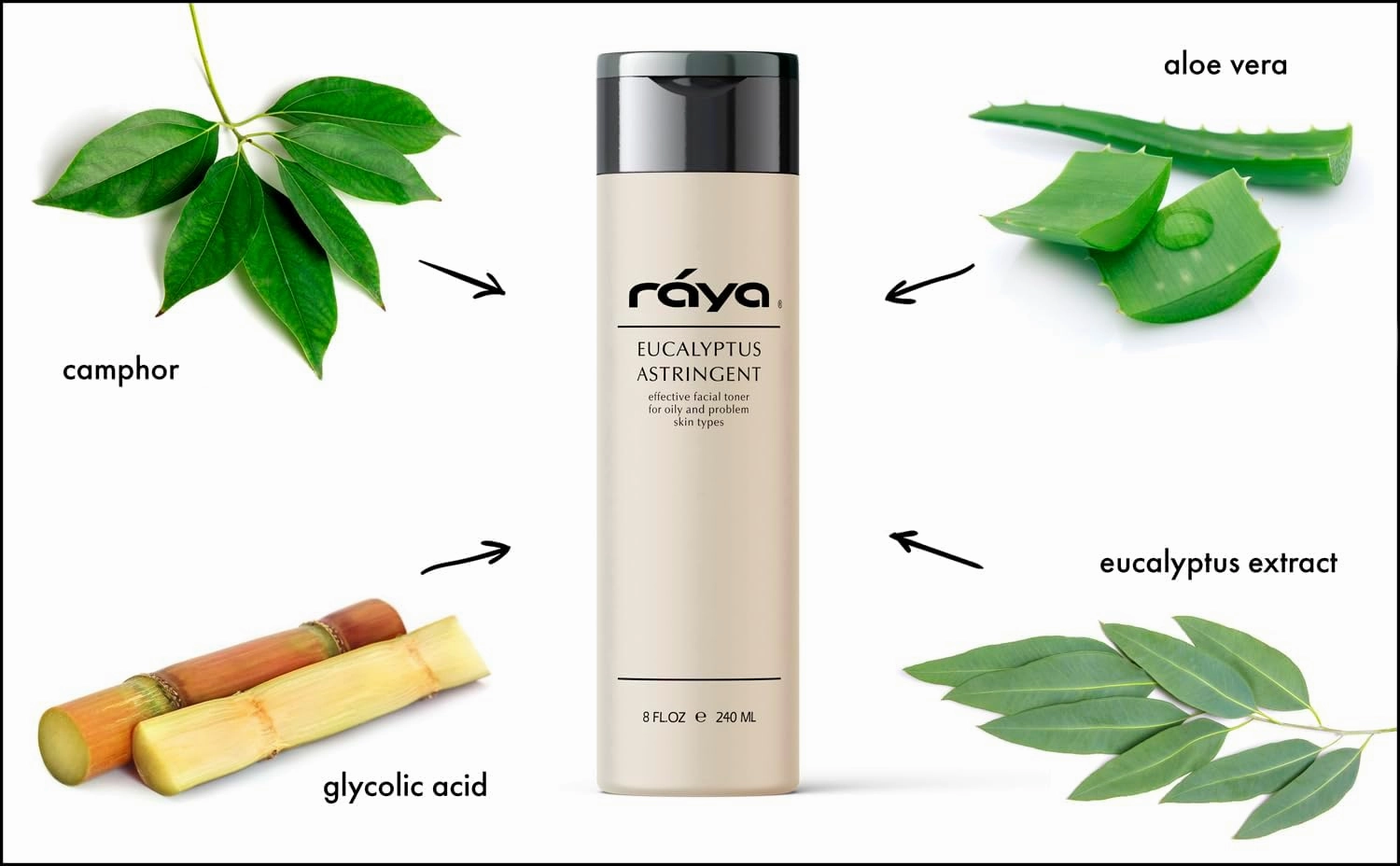 RAYA Eucalyptus Astringent with AHA 8 oz (G-207) | Exfoliating Glycolic Facial Toner for Oily and Break-Out Skin | Helps Balance pH and Dry Up Blemishes | Made with Alpha Hydroxy Acids