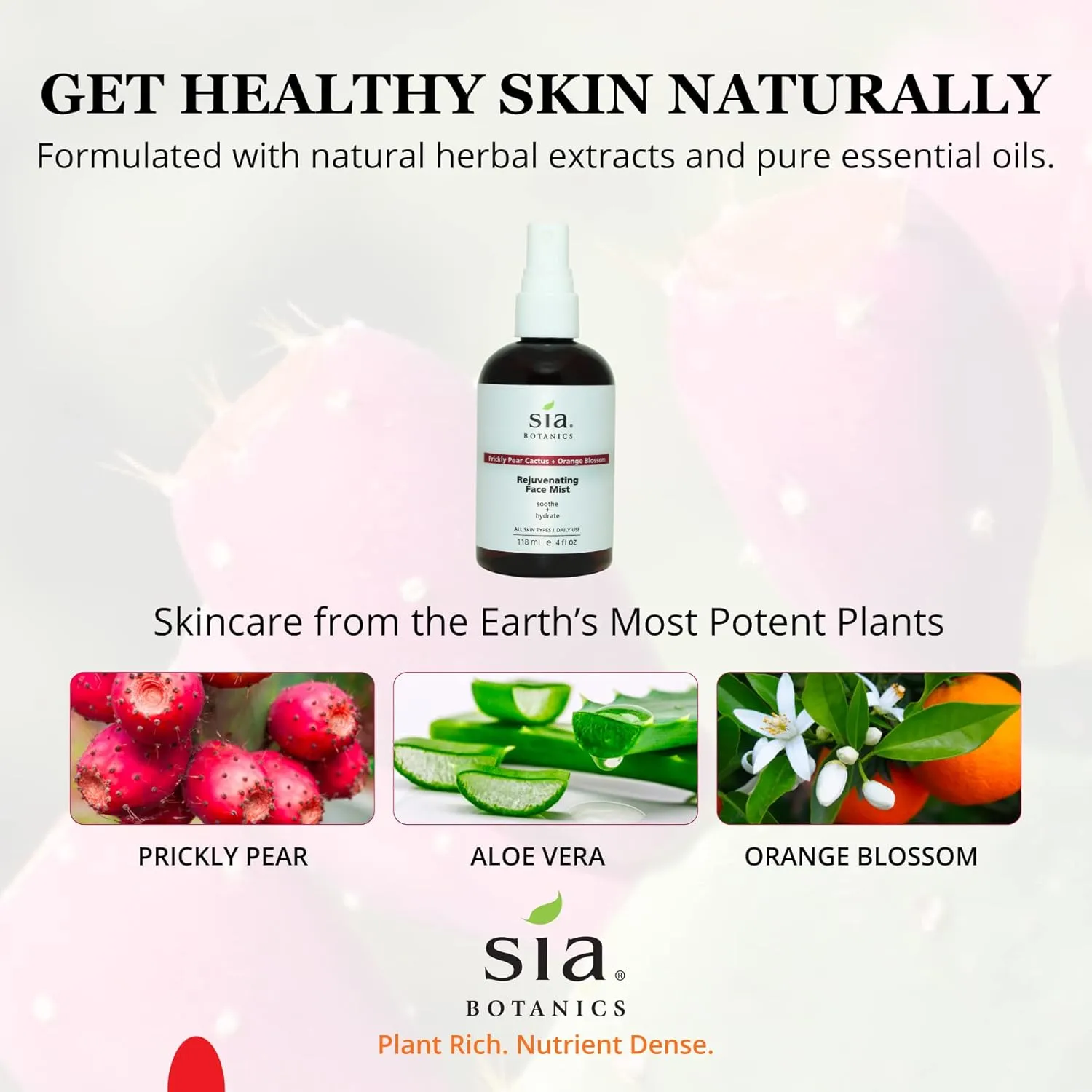 Rejuvenating Face Toner Mist (118ml/4oz Bottle) | Facial Treatment w/Prickly Pear, Aloe Vera, Orange Blossom | Natural, Clean, Botanical Skincare for Women