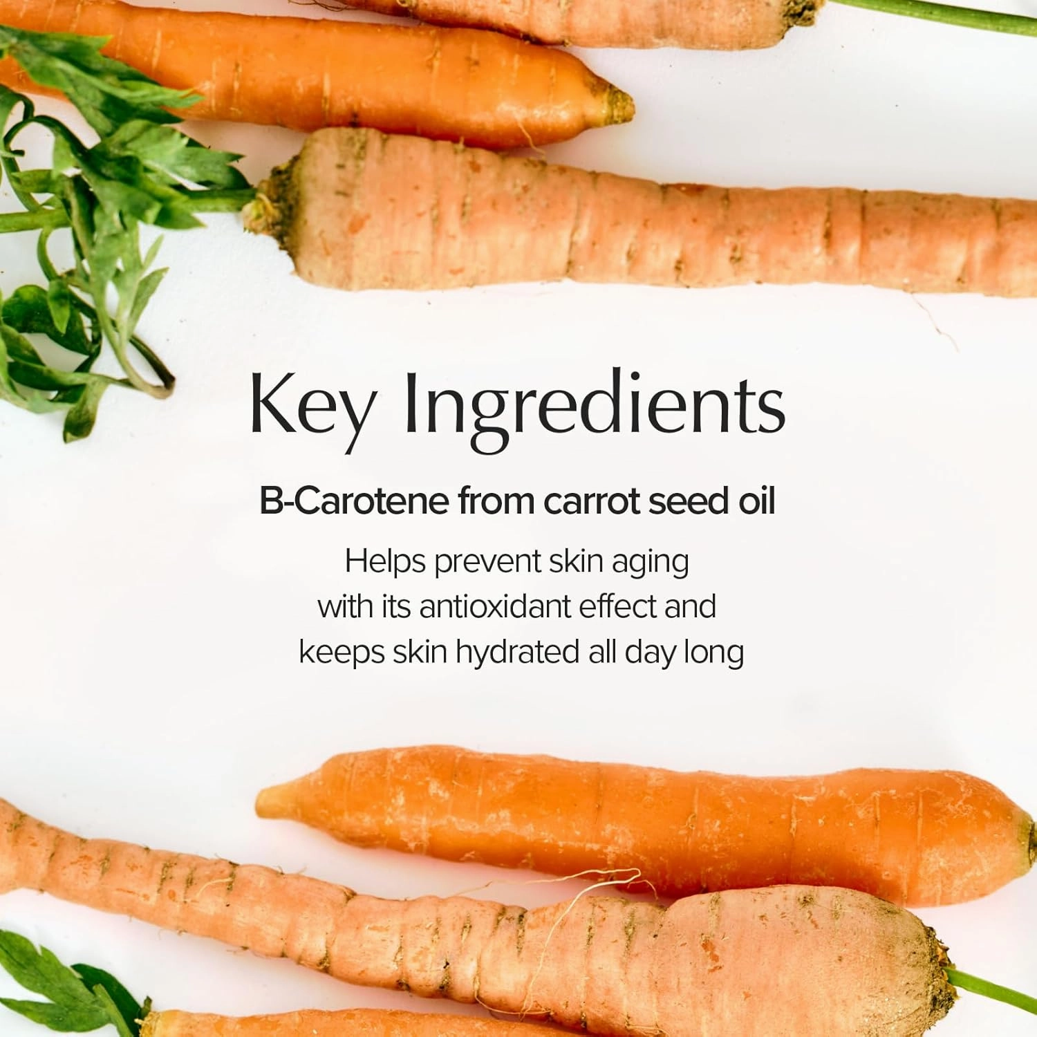 SKINFOOD Carrot Carotene Calming Water Pad | 60 Sheets - 250g