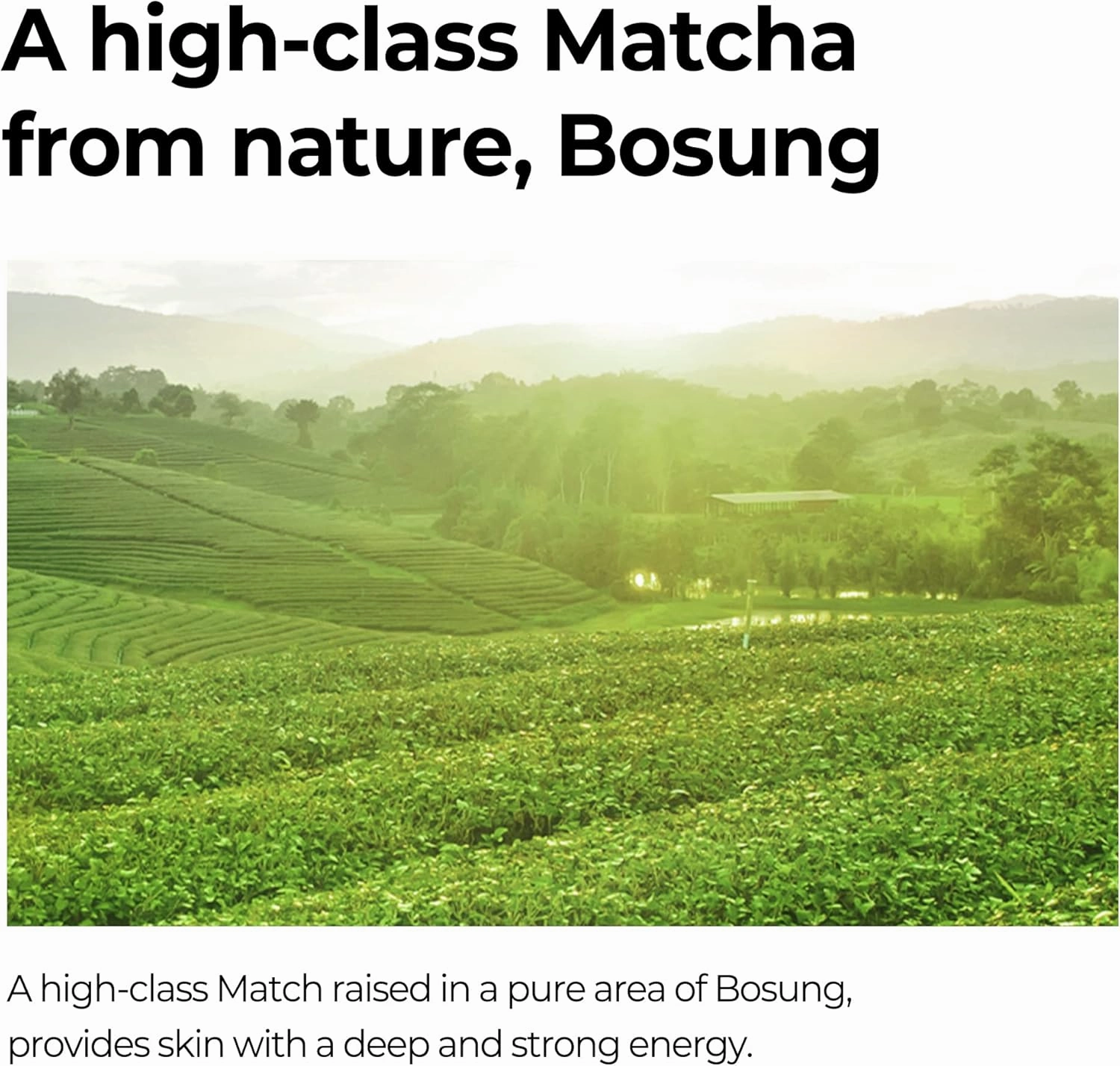 SOME BY MI Super Matcha Toner